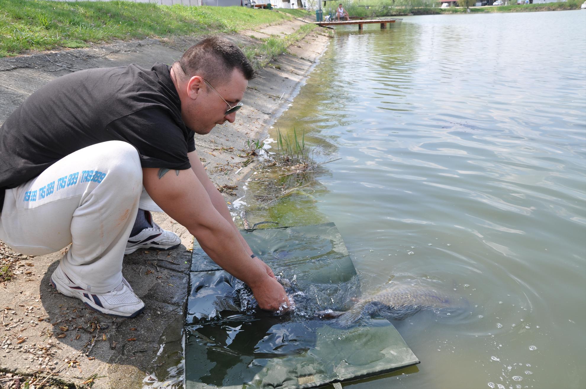 GALERIE FOTO TROFEUL USAMV - PLEASA 2 - dsc0503.JPG